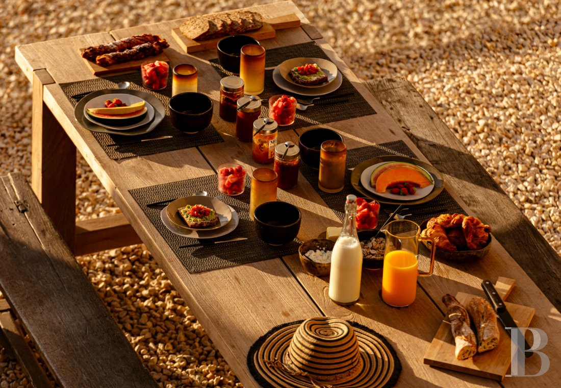 Dans le Gard, en bordure de l’Ardèche, un ancien mas restauré au milieu des oliviers, des vignes et des lavandes - photo  n°8